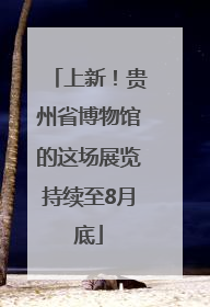 上新！贵州省博物馆的这场展览持续至8月底