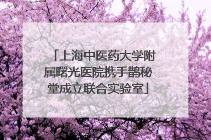 上海中医药大学附属曙光医院携手鹊秘堂成立联合实验室