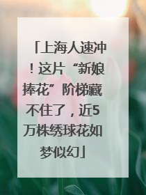 上海人速冲！这片“新娘捧花”阶梯藏不住了，近5万株绣球花如梦似幻