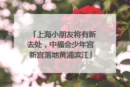 上海小朋友将有新去处，中福会少年宫新宫落地黄浦滨江