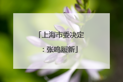 上海市委决定：张鸣履新