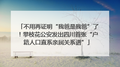 不用再证明“我爸是我爸”了！攀枝花公安发出四川首张“户籍人口直系亲属关系谱”