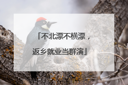 不北漂不横漂，返乡就业当群演