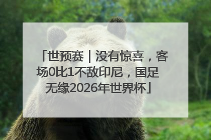 世预赛｜没有惊喜，客场0比1不敌印尼，国足无缘2026年世界杯