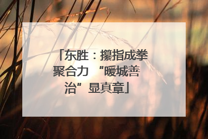 东胜：攥指成拳聚合力 “暖城善治”显真章