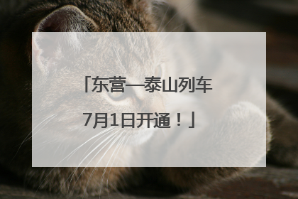 东营—泰山列车7月1日开通！