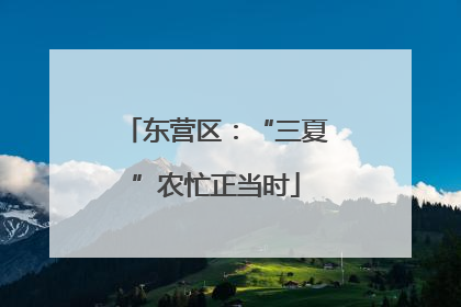 东营区：“三夏”农忙正当时
