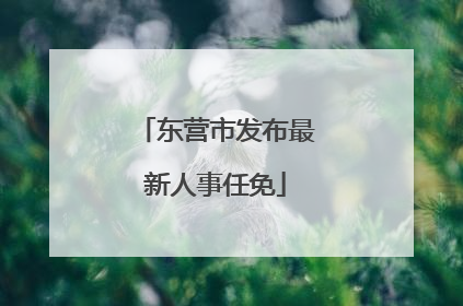 东营市发布最新人事任免