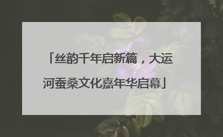 丝韵千年启新篇，大运河蚕桑文化嘉年华启幕
