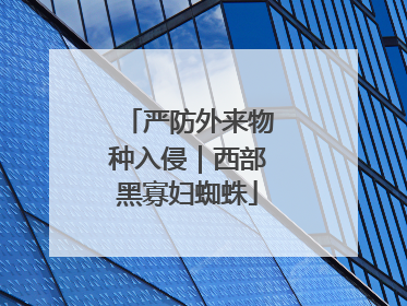 严防外来物种入侵｜西部黑寡妇蜘蛛