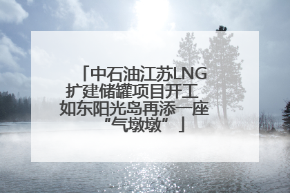 中石油江苏LNG扩建储罐项目开工 如东阳光岛再添一座“气墩墩”