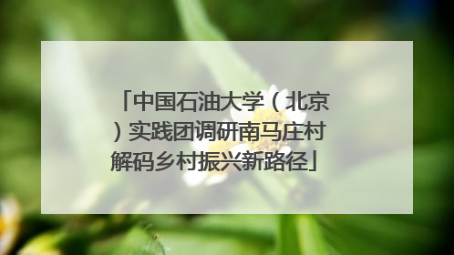 中国石油大学（北京）实践团调研南马庄村解码乡村振兴新路径
