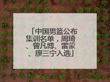 中国男篮公布集训名单，周琦、曾凡博、雷蒙、廖三宁入选