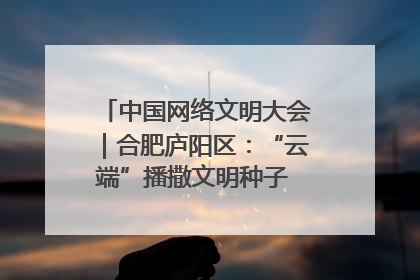 中国网络文明大会｜合肥庐阳区：“云端”播撒文明种子 共建清朗网络空间