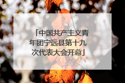 中国共产主义青年团宁远县第十九次代表大会开幕