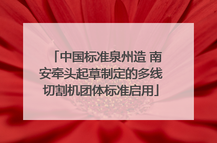 中国标准泉州造 南安牵头起草制定的多线切割机团体标准启用