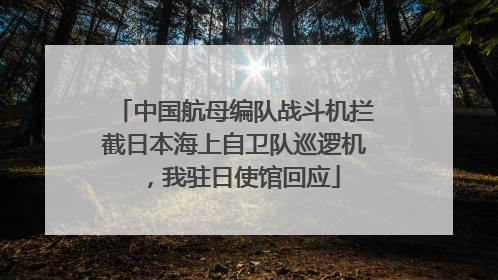 中国航母编队战斗机拦截日本海上自卫队巡逻机，我驻日使馆回应