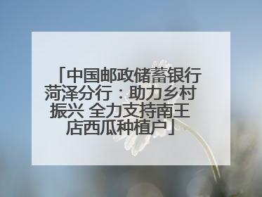 中国邮政储蓄银行菏泽分行：助力乡村振兴 全力支持南王店西瓜种植户