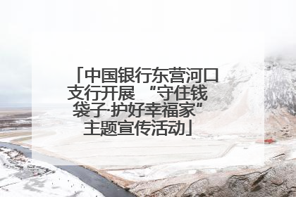 中国银行东营河口支行开展 “守住钱袋子·护好幸福家”主题宣传活动