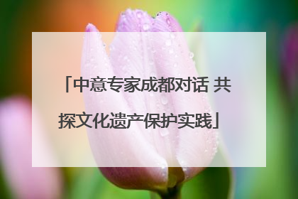 中意专家成都对话 共探文化遗产保护实践