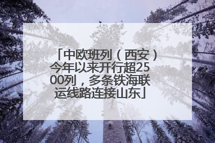 中欧班列（西安）今年以来开行超2500列，多条铁海联运线路连接山东