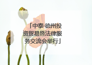 中泰·德州投资贸易暨法律服务交流会举行