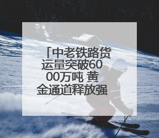 中老铁路货运量突破6000万吨 黄金通道释放强劲动能