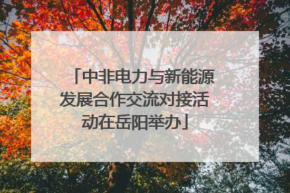 中非电力与新能源发展合作交流对接活动在岳阳举办