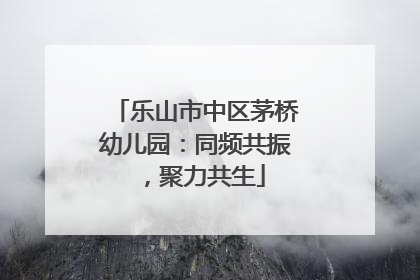 乐山市中区茅桥幼儿园：同频共振，聚力共生