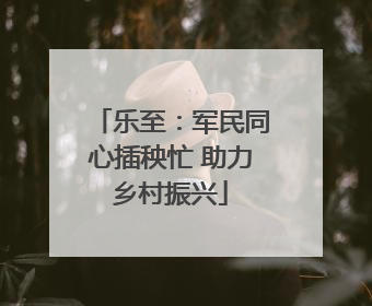 乐至：军民同心插秧忙 助力乡村振兴
