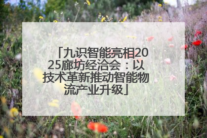 九识智能亮相2025廊坊经洽会：以技术革新推动智能物流产业升级