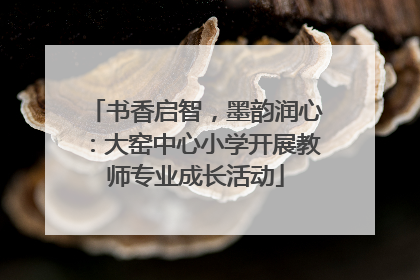 书香启智，墨韵润心：大窑中心小学开展教师专业成长活动