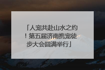人宠共赴山水之约！第五届济南携宠徒步大会圆满举行