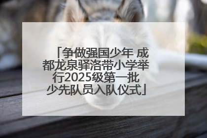 争做强国少年 成都龙泉驿洛带小学举行2025级第一批少先队员入队仪式