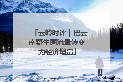 云岭时评｜把云南野生菌流量转变为经济增量