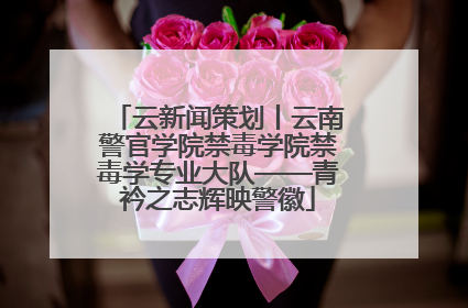云新闻策划丨云南警官学院禁毒学院禁毒学专业大队——青衿之志辉映警徽
