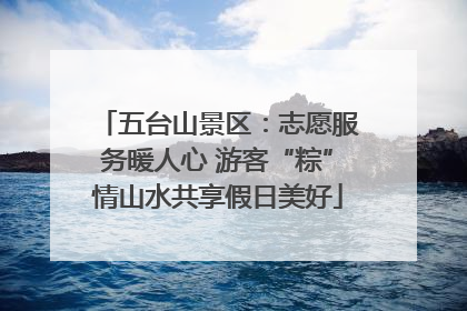 五台山景区：志愿服务暖人心 游客“粽”情山水共享假日美好