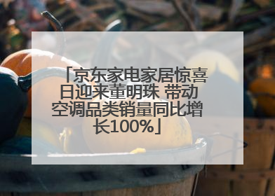 京东家电家居惊喜日迎来董明珠 带动空调品类销量同比增长100%
