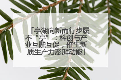 亭湖向新而行步履不“亭”：科创与产业互融互促，催生新质生产力澎湃动能