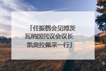 任振鹤会见博茨瓦纳国民议会议长凯奥拉佩采一行