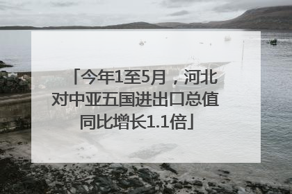 今年1至5月，河北对中亚五国进出口总值同比增长1.1倍