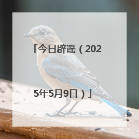今日辟谣（2025年5月9日）