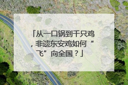 从一口锅到千只鸡，非遗东安鸡如何“飞”向全国？