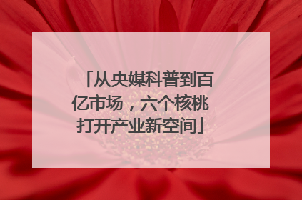 从央媒科普到百亿市场，六个核桃打开产业新空间
