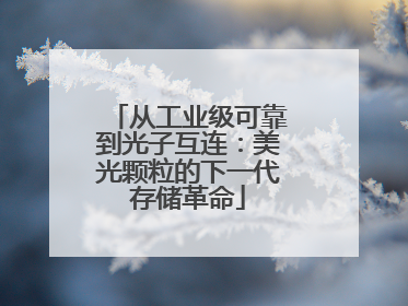 从工业级可靠到光子互连：美光颗粒的下一代存储革命