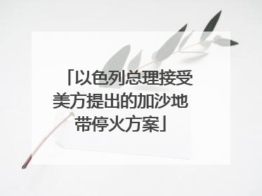 以色列总理接受美方提出的加沙地带停火方案
