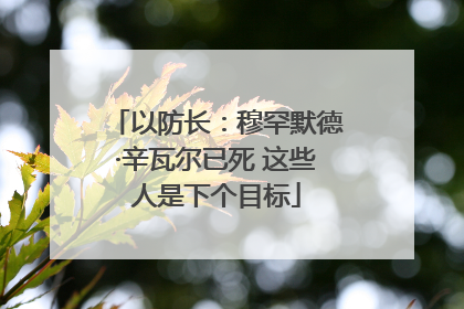 以防长：穆罕默德·辛瓦尔已死 这些人是下个目标