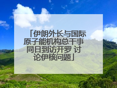 伊朗外长与国际原子能机构总干事同日到访开罗 讨论伊核问题
