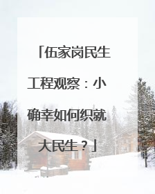 伍家岗民生工程观察：小确幸如何织就大民生？