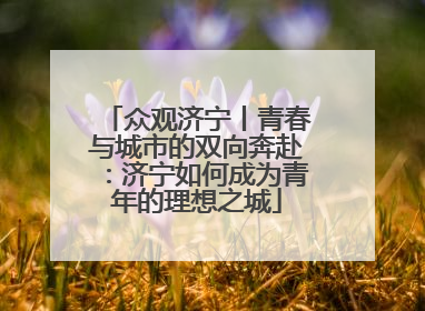 众观济宁丨青春与城市的双向奔赴：济宁如何成为青年的理想之城